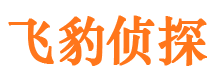 宁安外遇出轨调查取证